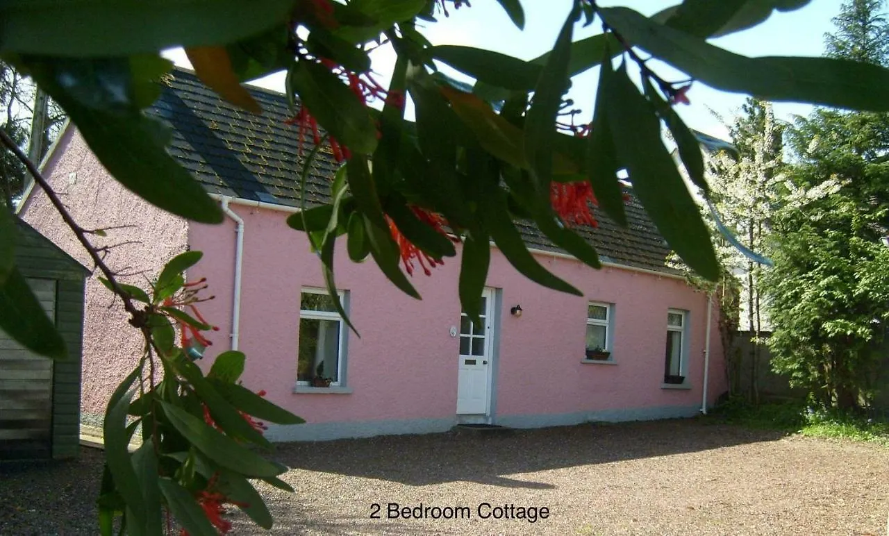 Hallmount Cottage - 贝尔法斯特